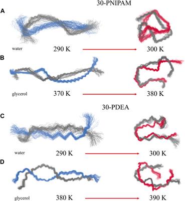Molecular dynamics simulations evidence the thermoresponsive behavior of PNIPAM and PDEA in glycerol solutions